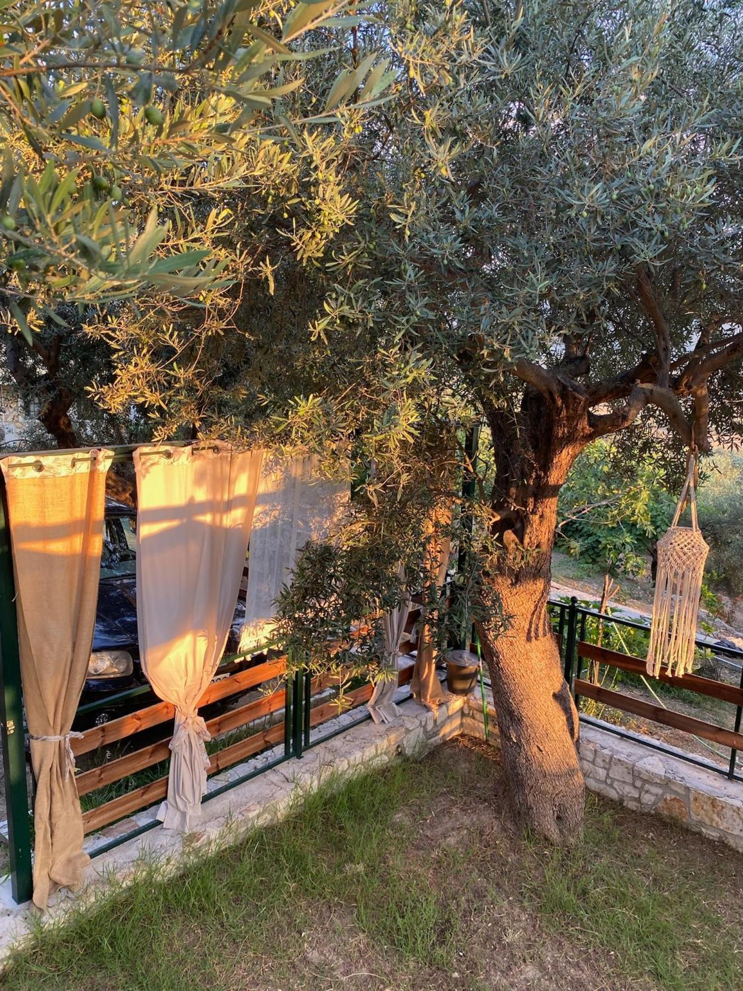 Liodentro - Olea Villa Платария Екстериор снимка
