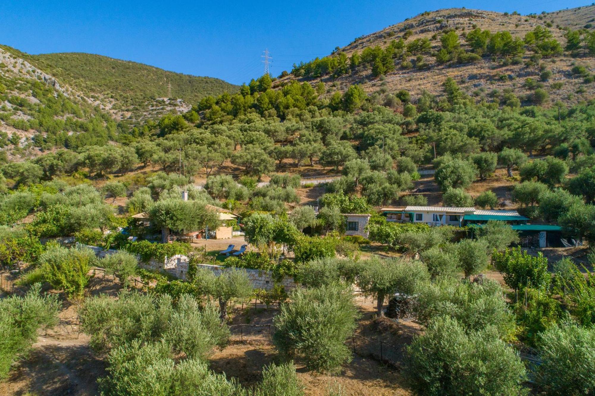 Liodentro - Olea Villa Платария Екстериор снимка