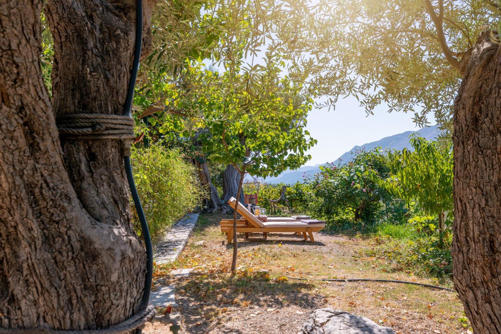 Liodentro - Olea Villa Платария Екстериор снимка