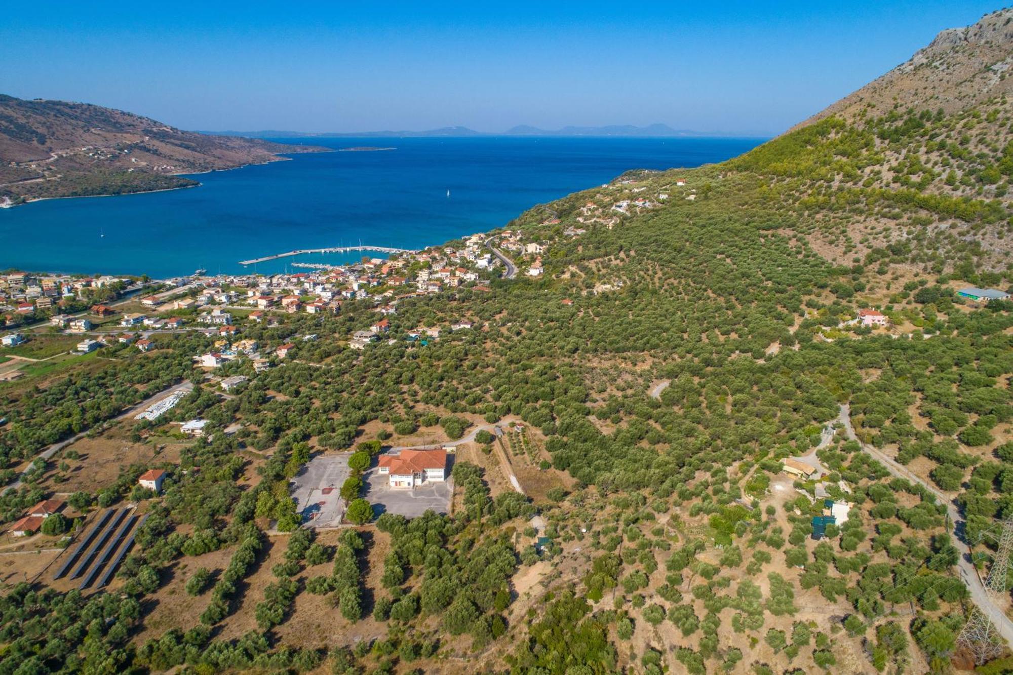 Liodentro - Olea Villa Платария Екстериор снимка