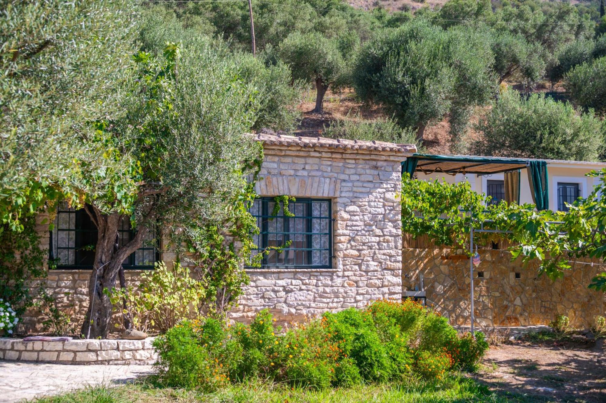 Liodentro - Olea Villa Платария Екстериор снимка
