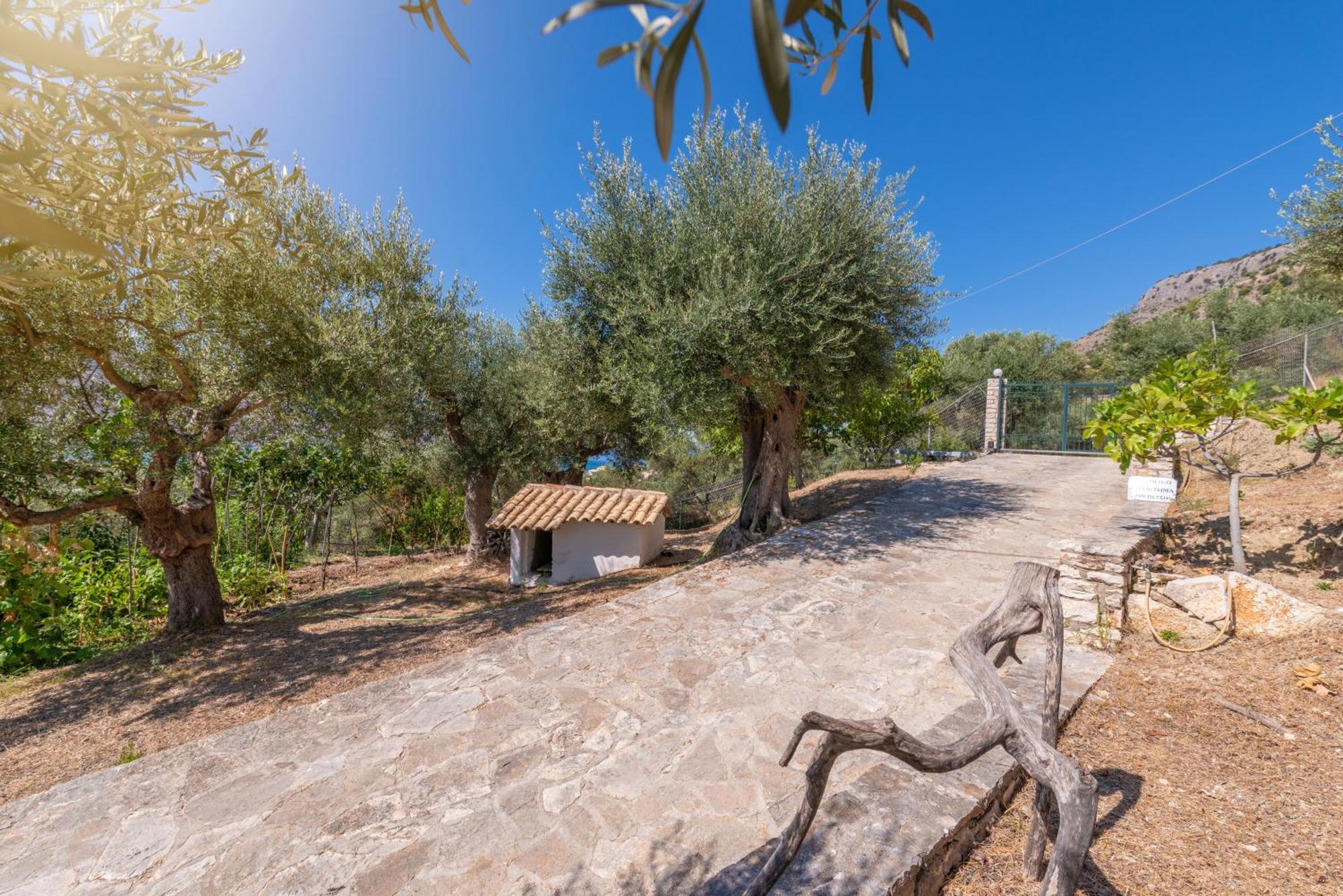 Liodentro - Olea Villa Платария Екстериор снимка