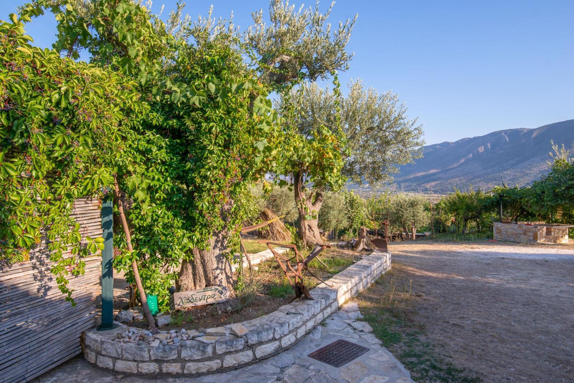 Liodentro - Olea Villa Платария Екстериор снимка