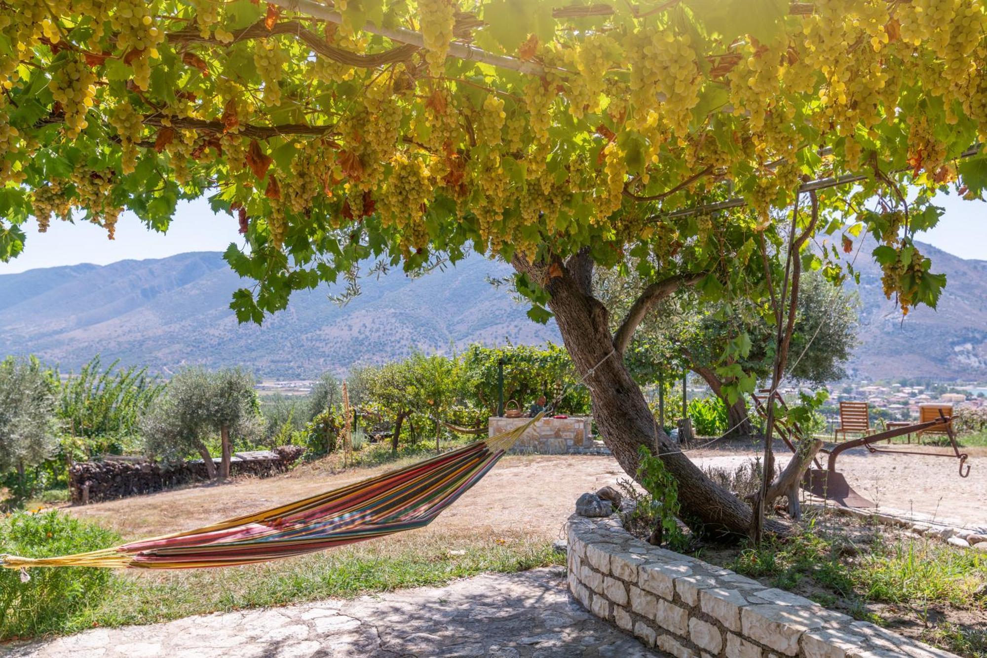 Liodentro - Olea Villa Платария Екстериор снимка