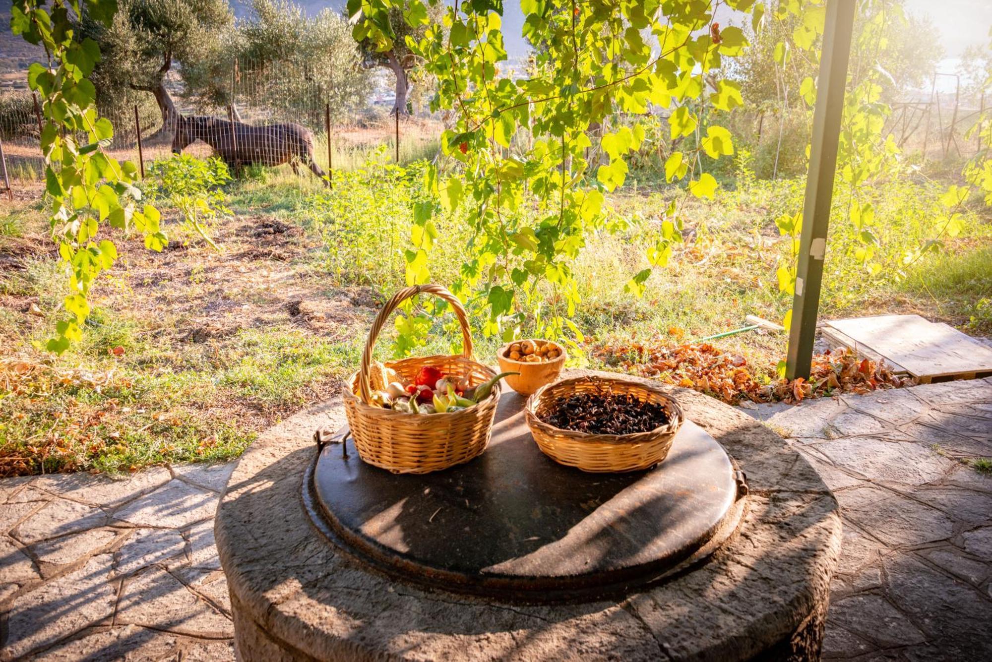 Liodentro - Olea Villa Платария Екстериор снимка