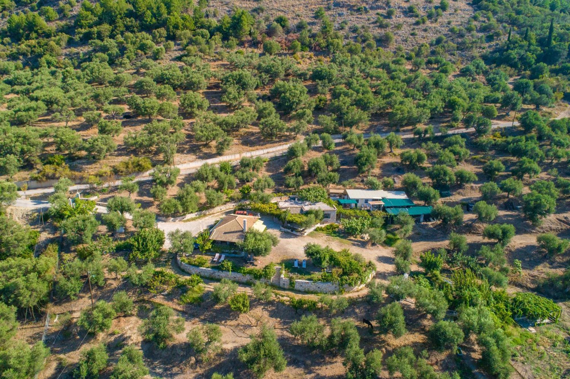 Liodentro - Olea Villa Платария Екстериор снимка