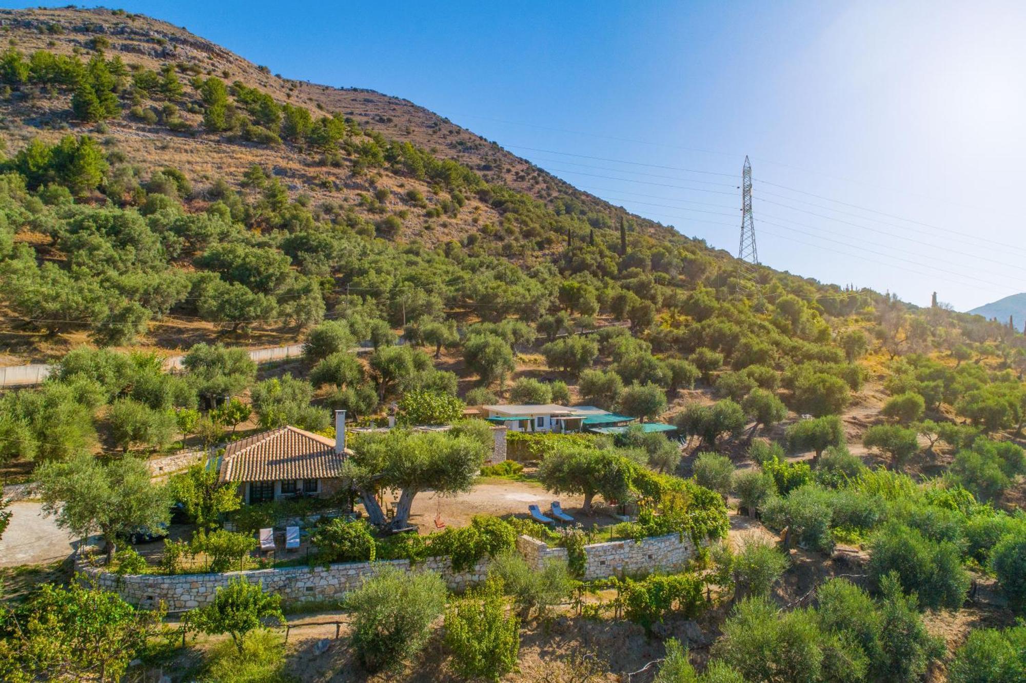 Liodentro - Olea Villa Платария Екстериор снимка