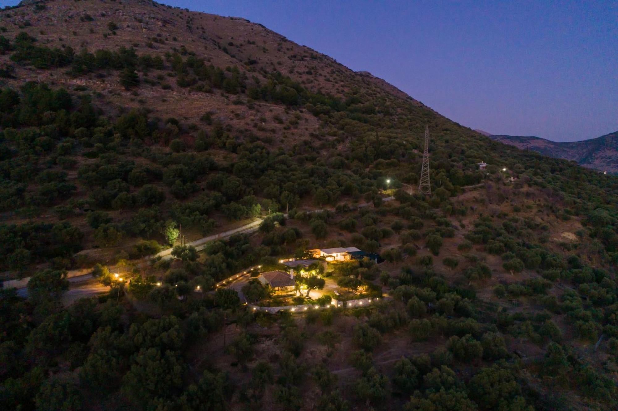 Liodentro - Olea Villa Платария Екстериор снимка
