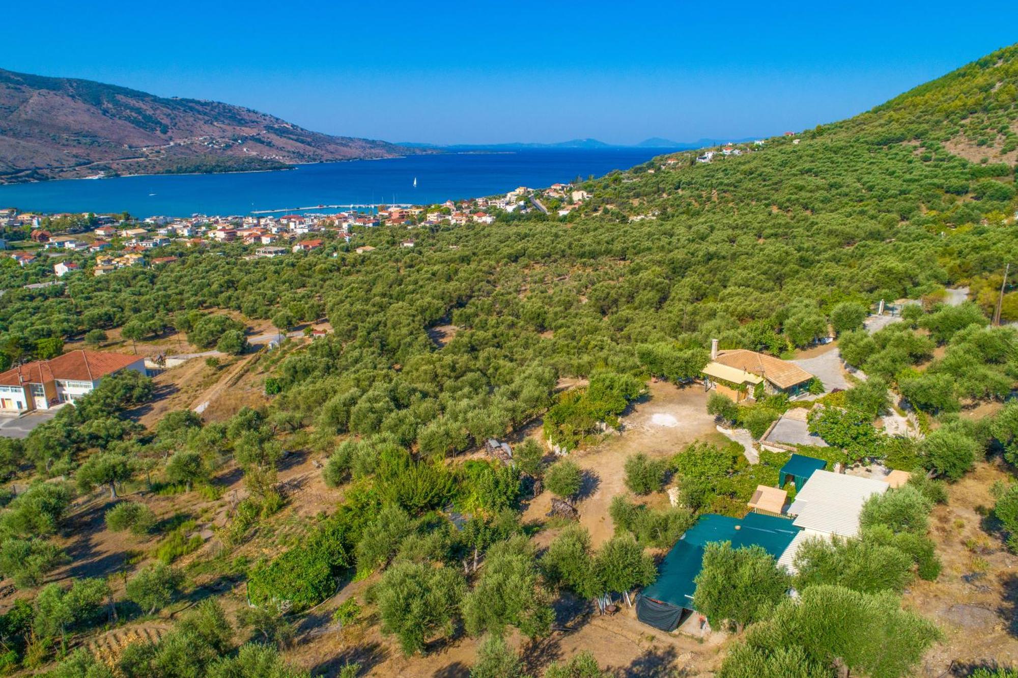 Liodentro - Olea Villa Платария Екстериор снимка